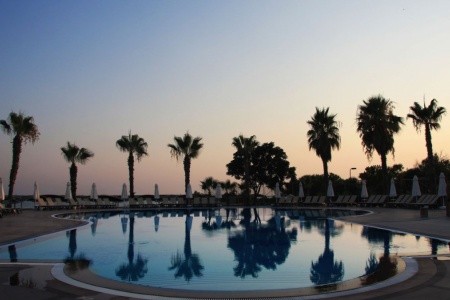 Papillon Belvil - 53