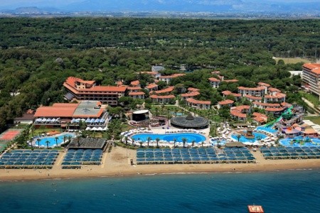 Papillon Belvil - 54