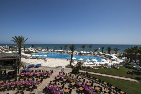 Papillon Belvil - 56