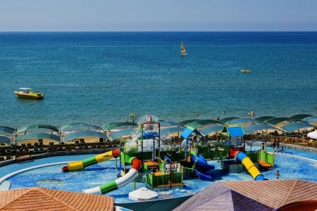 Papillon Belvil - 57