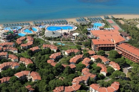 Papillon Belvil - 58