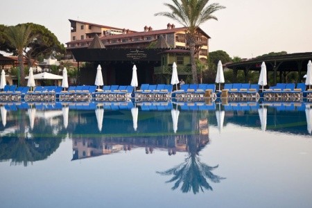 Papillon Belvil - 59