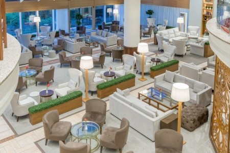 Papillon Belvil - 60