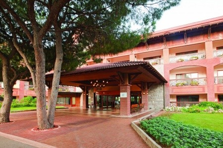 Papillon Belvil - 62