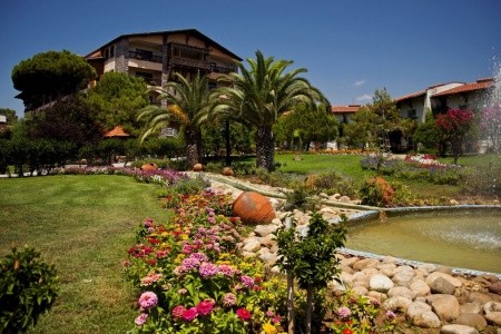 Papillon Belvil - 63