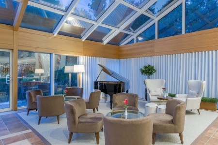 Papillon Belvil - 65