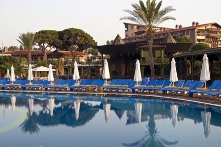 Papillon Belvil - 66