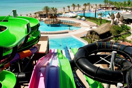 Papillon Belvil - 67