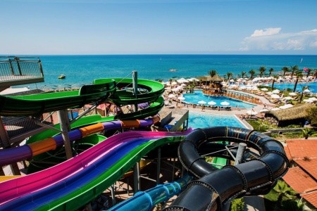 Papillon Belvil - 73