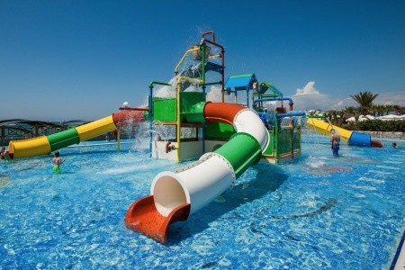 Papillon Belvil - 76