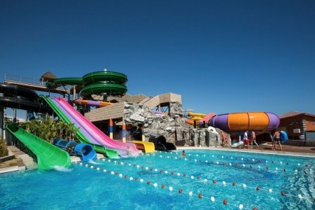 Papillon Belvil - 78