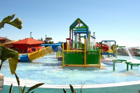 Papillon Belvil - 79