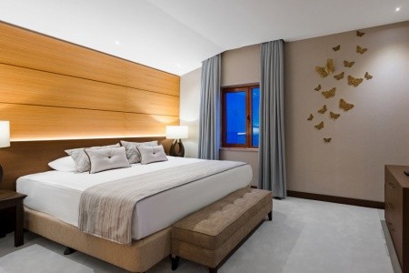 Papillon Belvil - 83