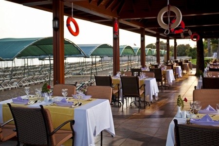 Papillon Belvil - 85