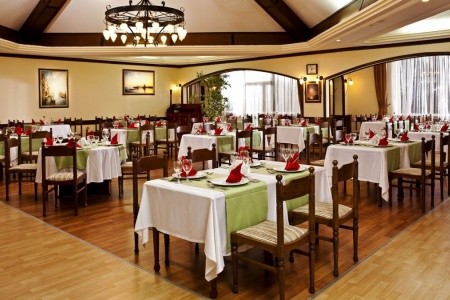 Papillon Belvil - 87