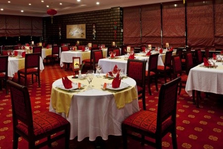 Papillon Belvil - 88