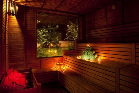 Papillon Belvil - 93