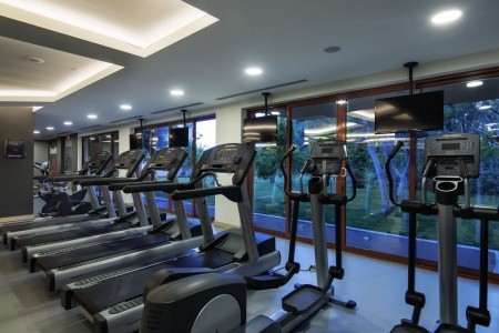 Papillon Belvil - 95