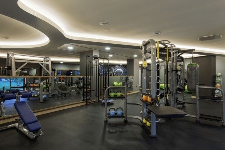 Papillon Belvil - 96