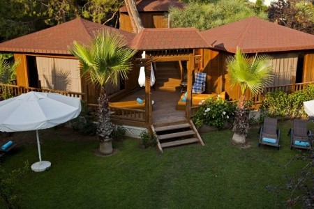 Papillon Belvil - 99