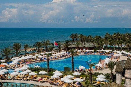 Papillon Belvil - 102