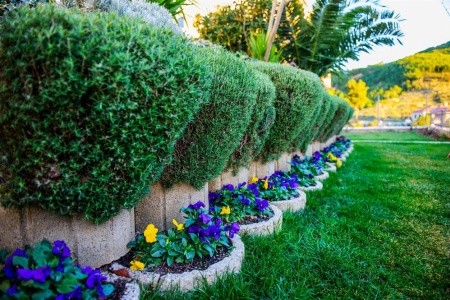 Apartmány 1355-240 - 17