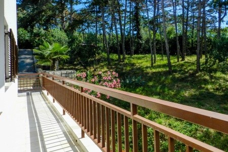 Apartmány 1355-549 - 28