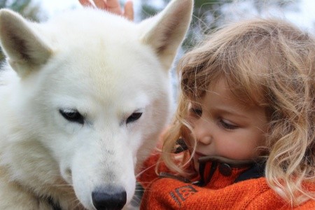 FINSKO - ZEMĚ TISÍCŮ JEZER A LAPONSKO NA KONCI LÉTA - 5