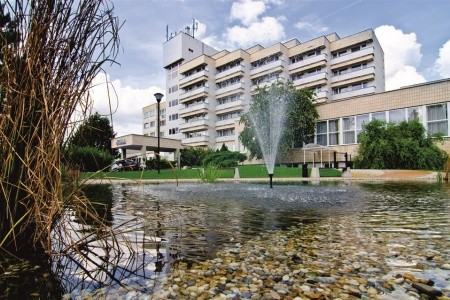 Hviezda