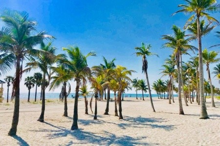 Miami Beach - utečte zimě do tropického ráje