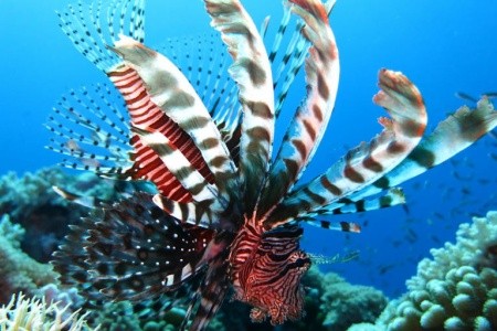 Adaaran Club Rannalhi - 7