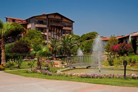 Papillon Belvil - 103