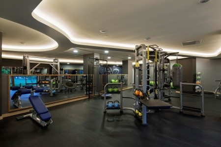 Papillon Belvil - 104