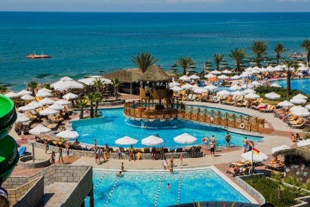 Papillon Belvil - 105