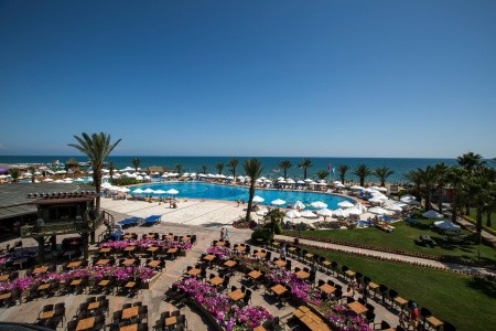 Papillon Belvil - 107