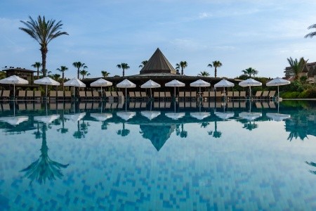 Papillon Belvil - 114