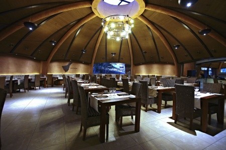 Kanárske ostrovy Tenerife Barceló Tenerife 12 dňový pobyt Polpenzia Letecky Letisko: Budapešť January 2026 (22/01/26- 2/02/26)