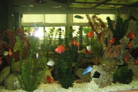 Marieta Palace - 105