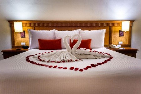 The Reef Coco Beach - 27