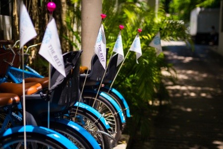 The Reef Coco Beach - 47