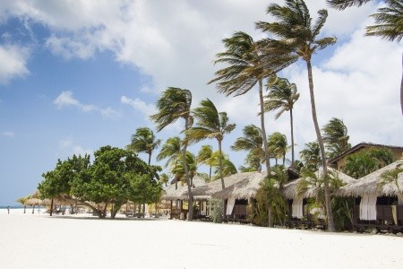 Dovolená Aruba 2023/2024 - Manchebo Beach Resort & Spa