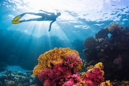 Maldivy Severný Atol Male Jumeirah Maldives Olhahali 13 dňový pobyt Plná penzia Letecky Letisko: Praha August 2026 (28/08/26- 9/09/26)