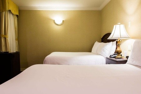 Stanford (New York City) - 23