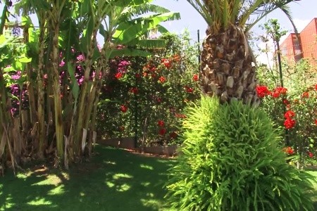 Madeira Panoramico - 37