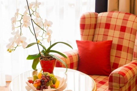 Rakúsko Kitzbühel / Mittersill Best Western Premier Kaiserhof 8 dňový pobyt Raňajky Vlastná July 2026 (11/07/26-18/07/26)
