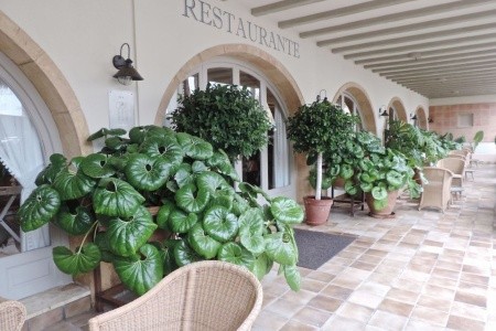 Los Angeles Denia - 31