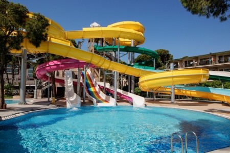 Papillon Ayscha - 50