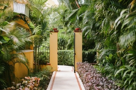 Occidental  Cozumel (Isla Cozumel) - 15