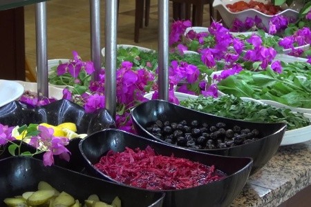 Turecko Kemer Grand Viking 15 dňový pobyt All Inclusive Letecky Letisko: Praha July 2026 ( 9/07/26-23/07/26)