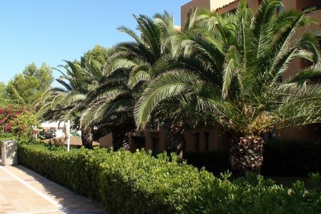 Španielsko Ibiza Insotel Club Tarida Playa 8 dňový pobyt All Inclusive Letecky Letisko: Bratislava June 2026 (18/06/26-25/06/26)